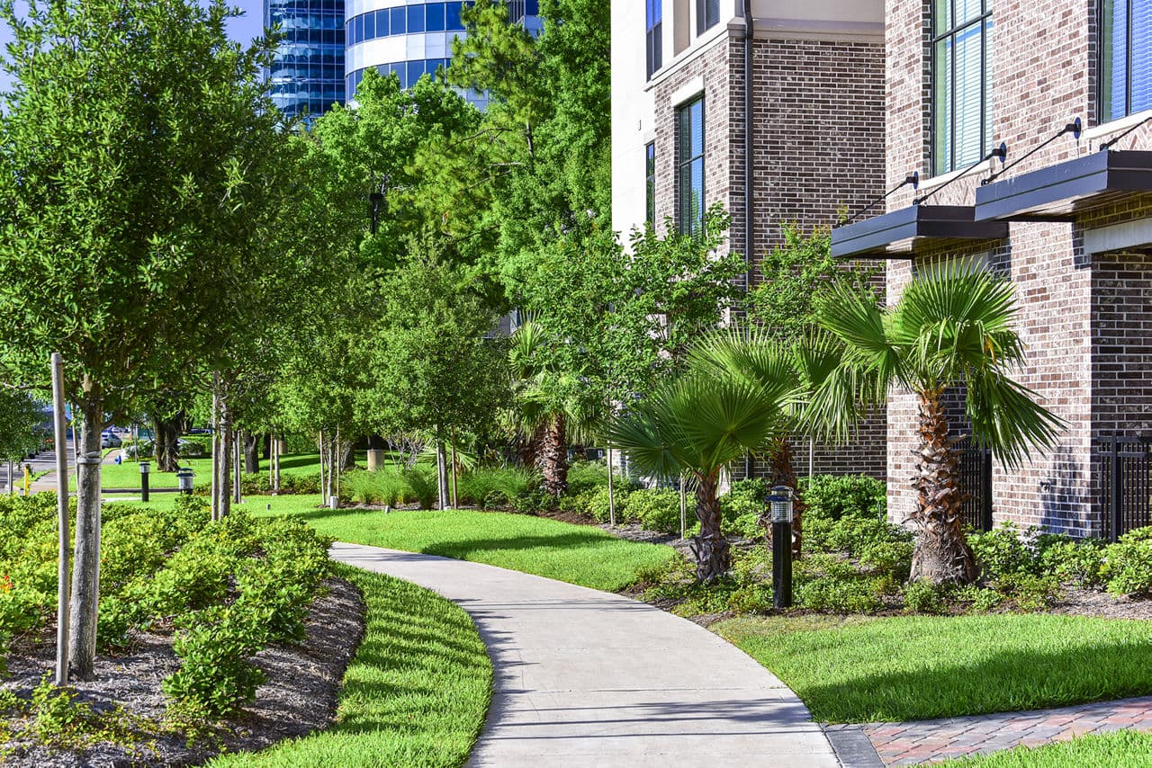 Arlo Westchase Houston Tx 9 of 37