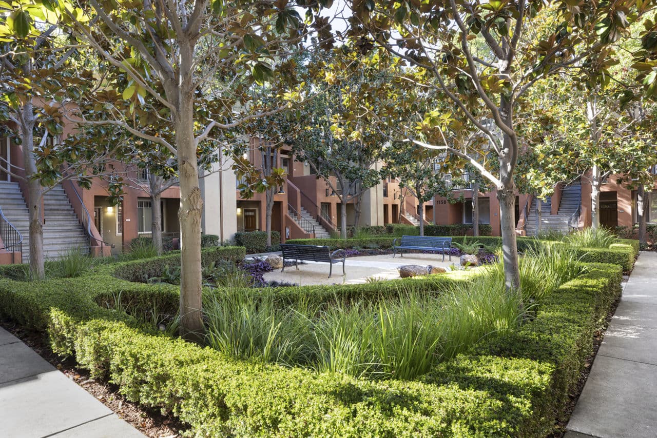 Tamarind Square 13 of 23