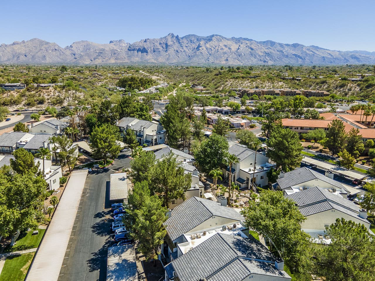 Envii Apartments Tucson Az 2 of 24