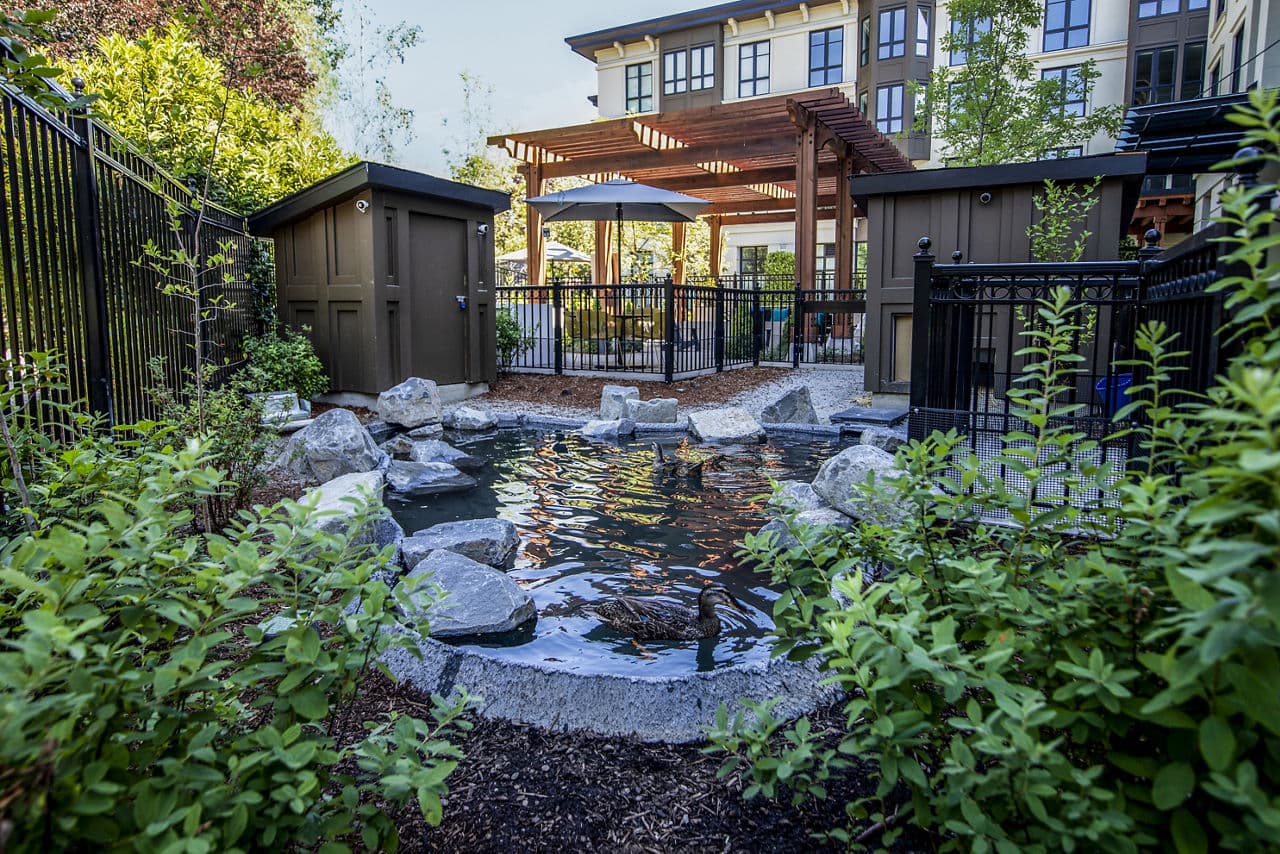 Mercato Grove Apartments 6 of 27