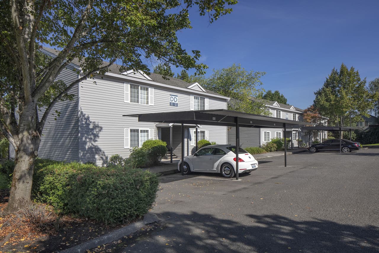 Avana Evergreen 2 of 9