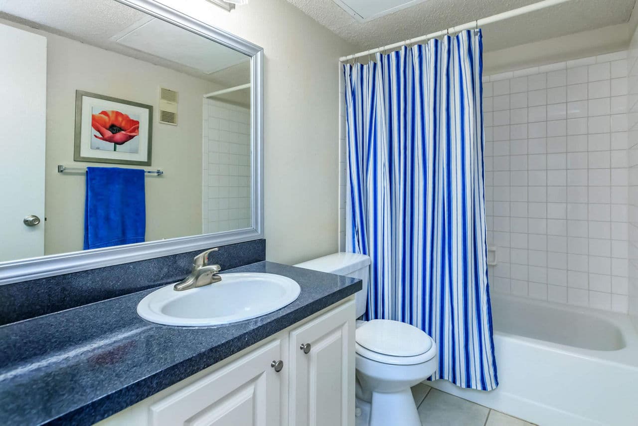 Avana Coachman Clearwater Fl 34 of 37