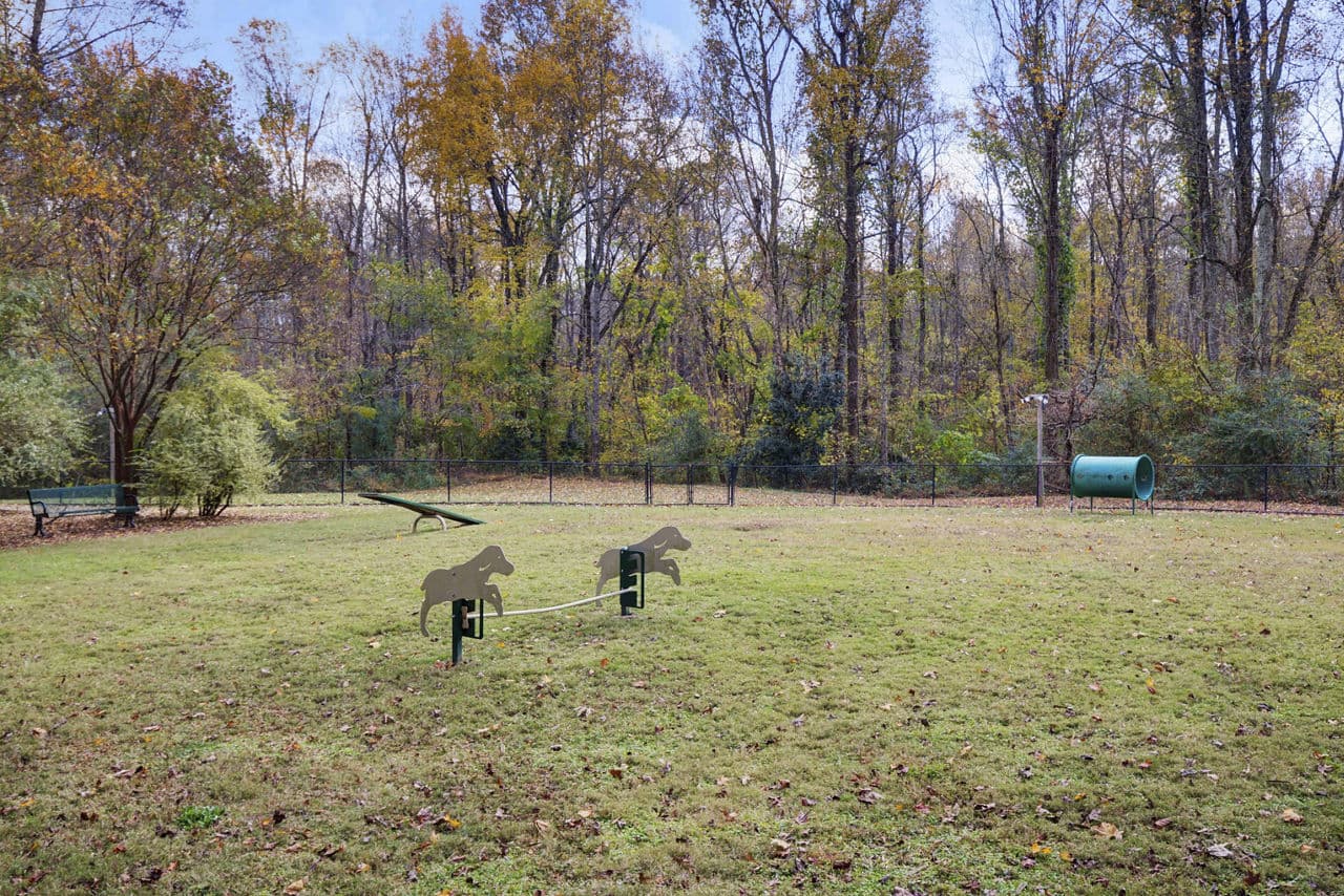 Avana Thornblade Greer Sc 14 of 24