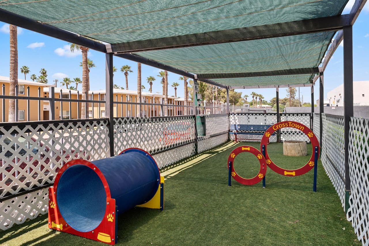 Crosstown Phoenix Apartments Phoenix Az 9 of 29