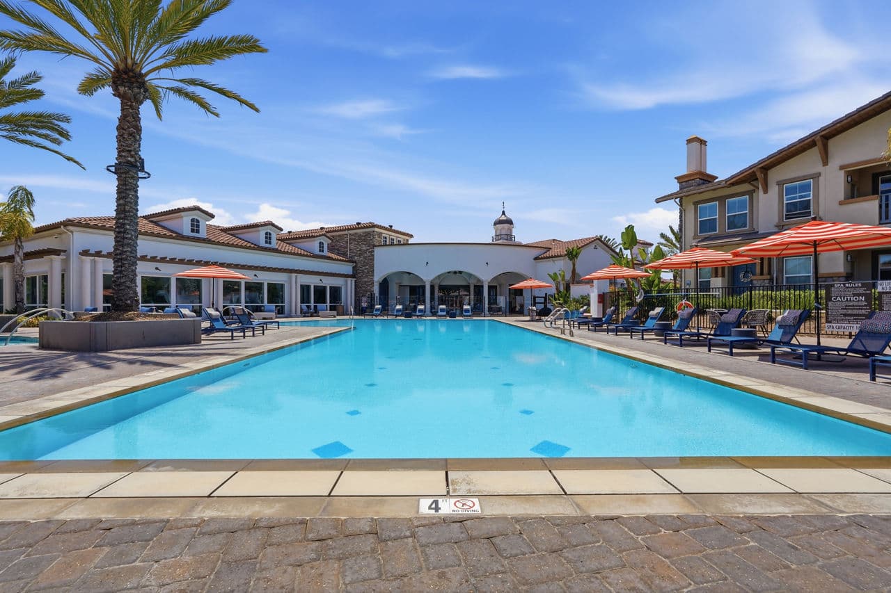 Avino 5 of 30