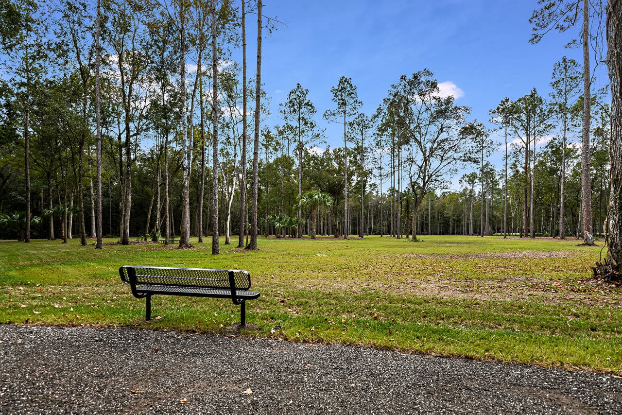 Grand Cypress St Johns Fl 10 of 30