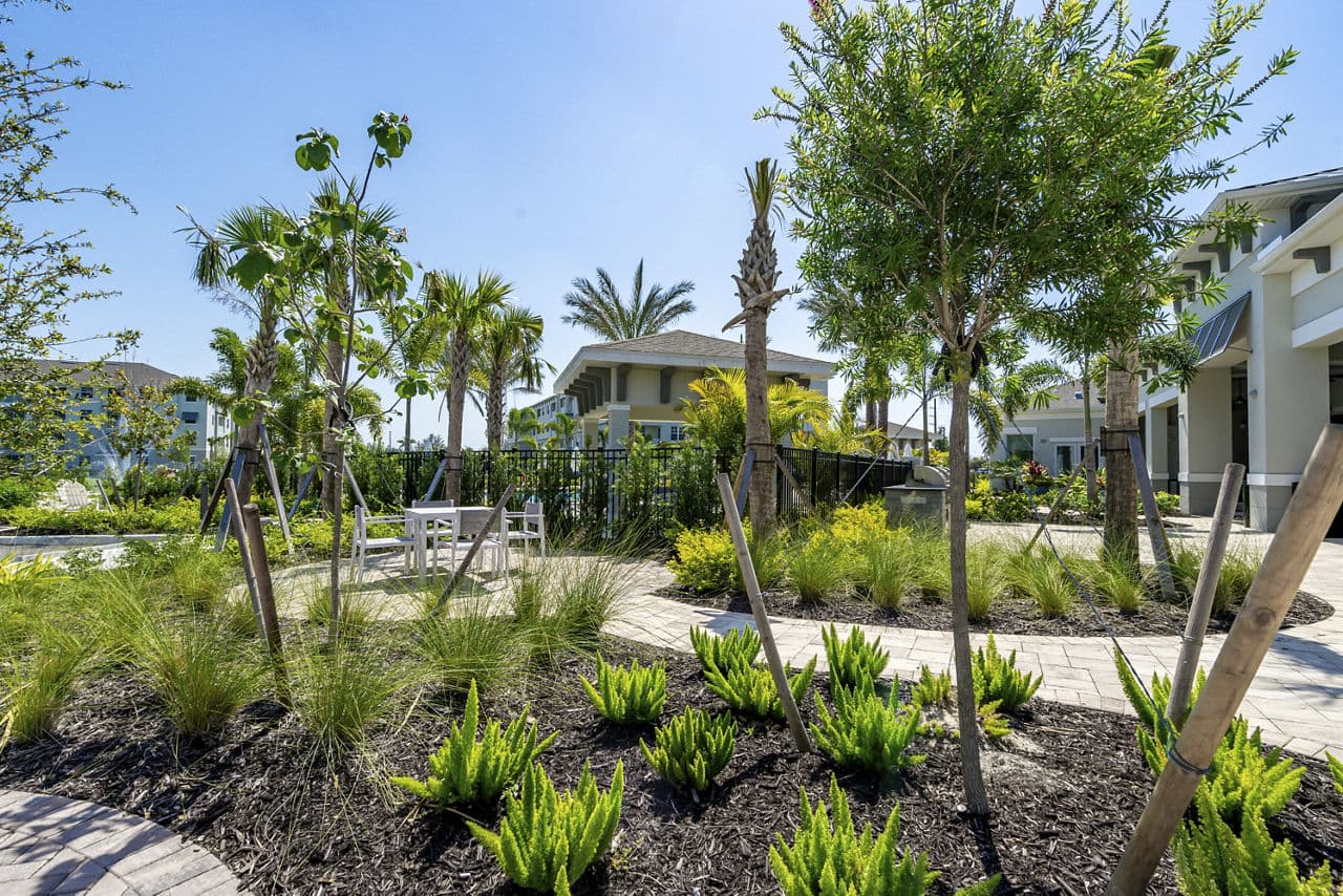 The Palms at Cape Coral 4 of 19