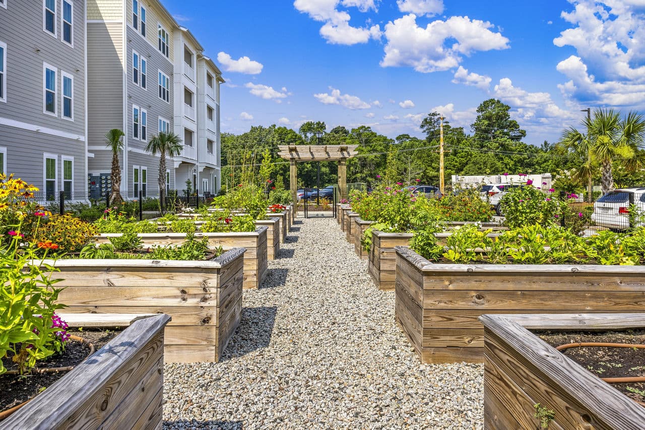 The Grove At Coastal Grand Myrtle Beach Sc 26 of 38