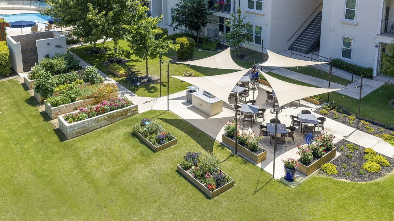 Sage Stone Oak 9 of 22