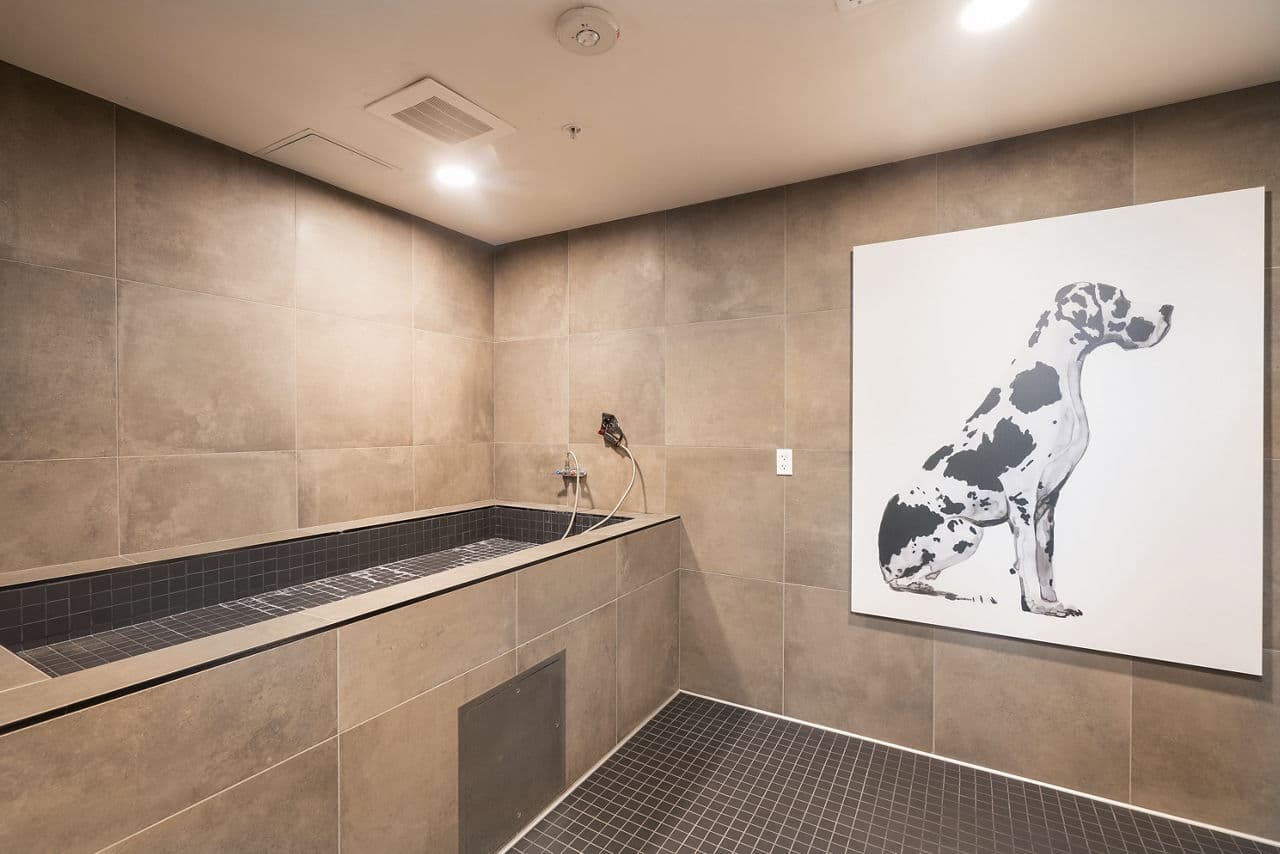 Prado Apartments Santa Clara Ca 6 of 35