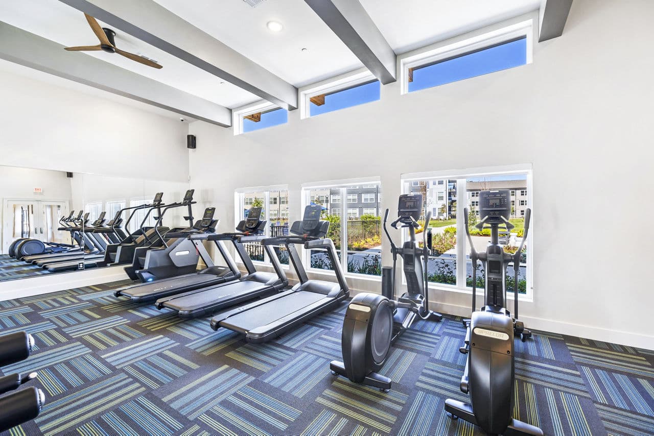 Birchway Spring Cypress Houston Tx 8 of 22
