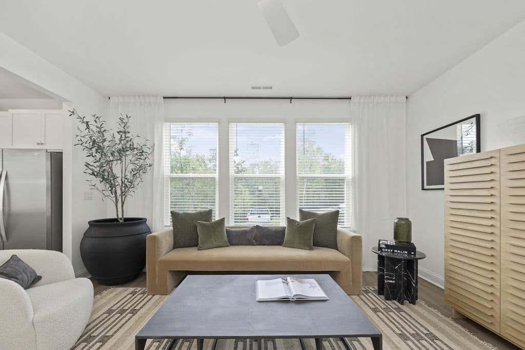 Affinity at Hudson Townhomes 4 of 27