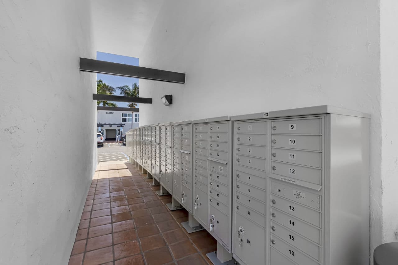 Palmera 12 of 29