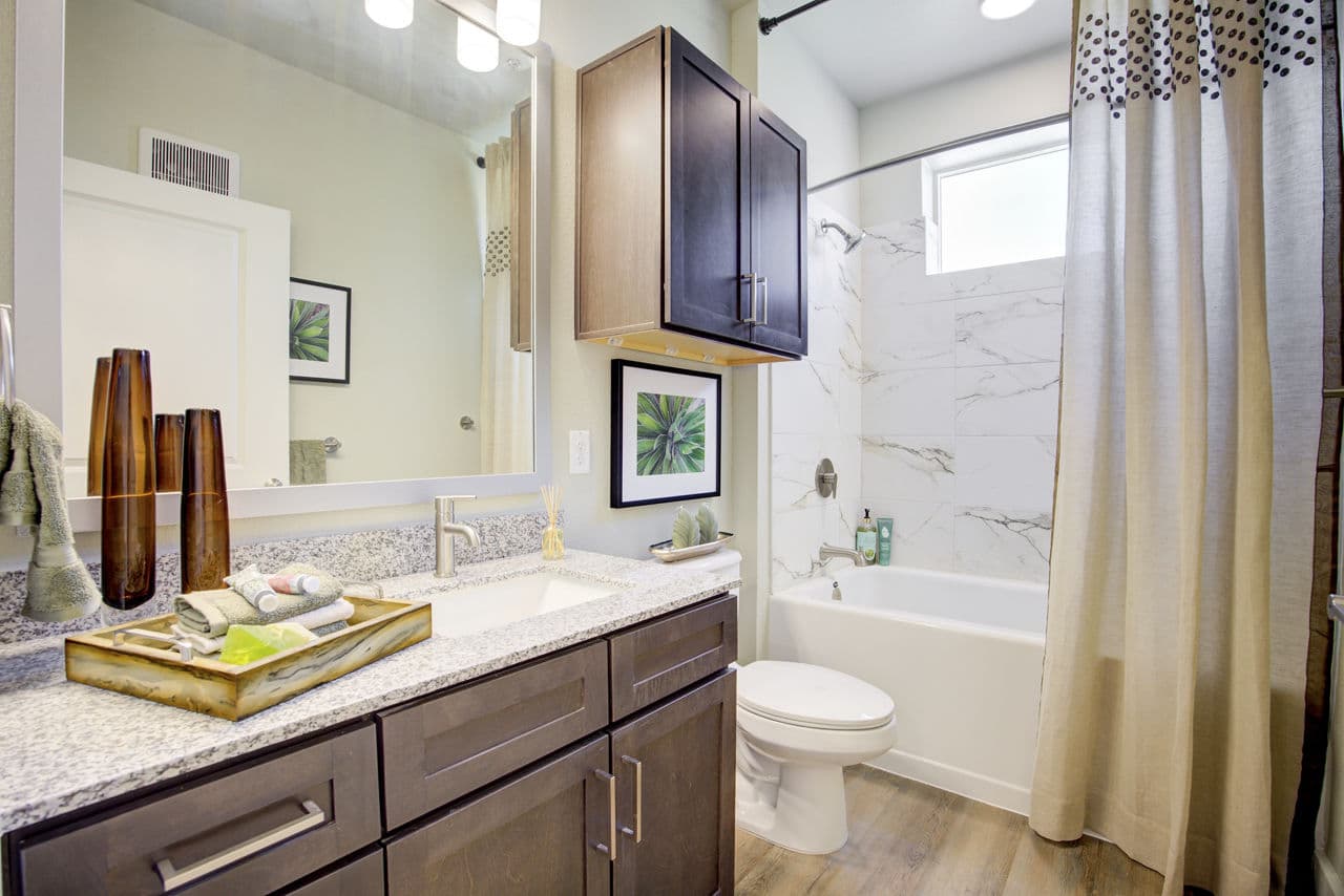 Sendero Trace 29 of 29