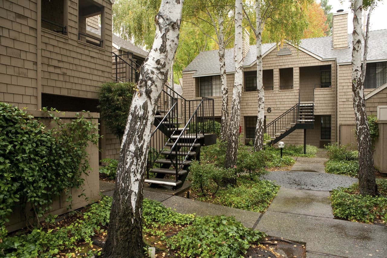 Ygnacio Village Walnut Creek Ca 3 of 19