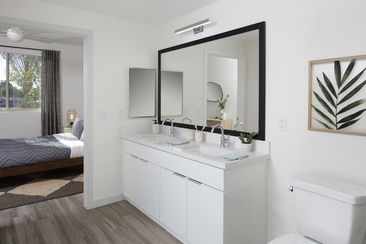 Zia 31 of 31