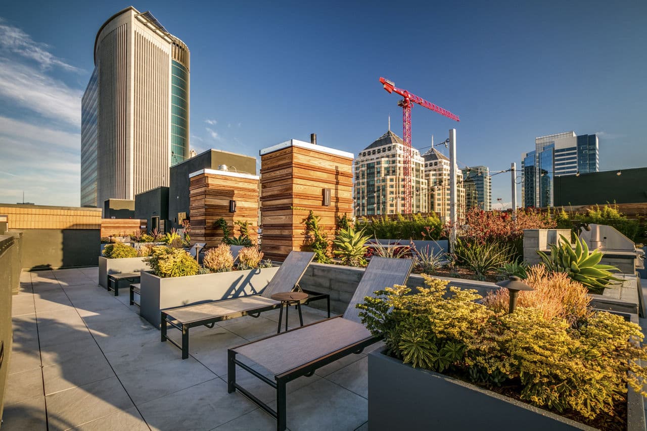 Lantana Uptown 23 of 26