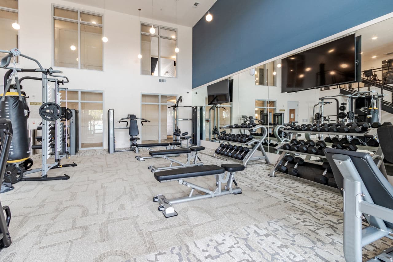 Satori West Ashley 14 of 29