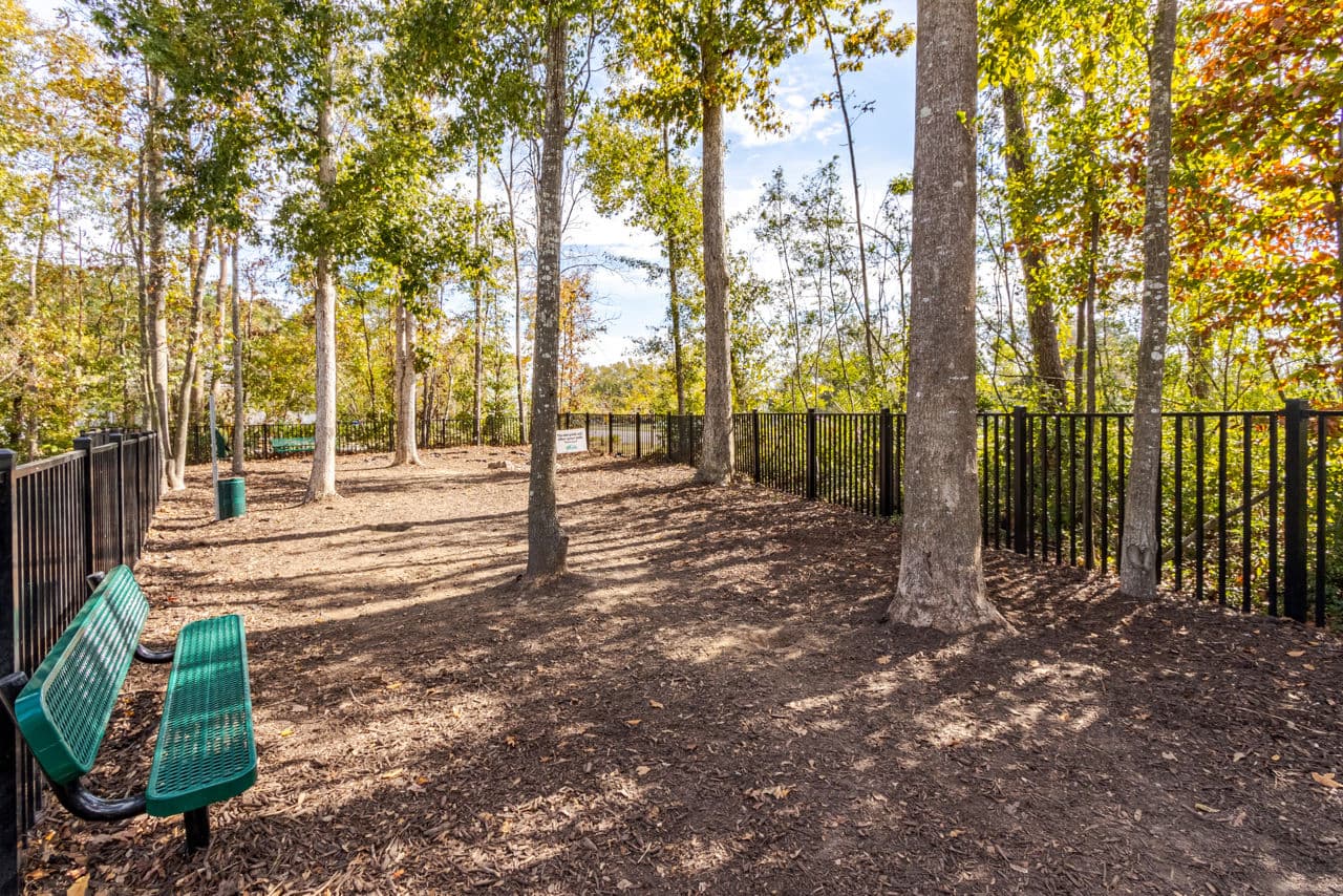 Satori West Ashley 18 of 29