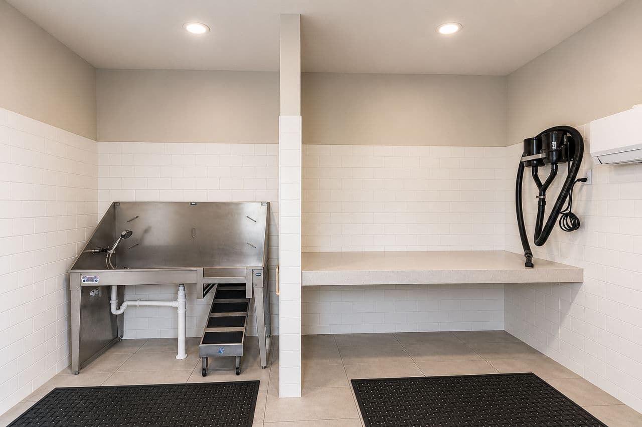 Satori West Ashley 19 of 29