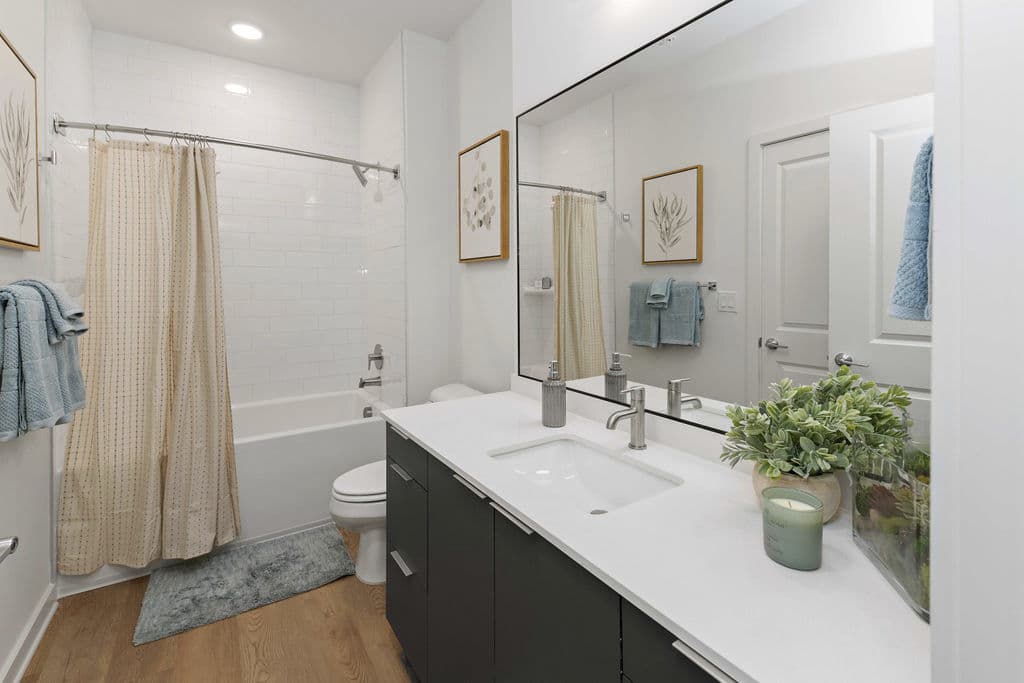Alexan Loso Apartments Charlotte Nc 26 of 27