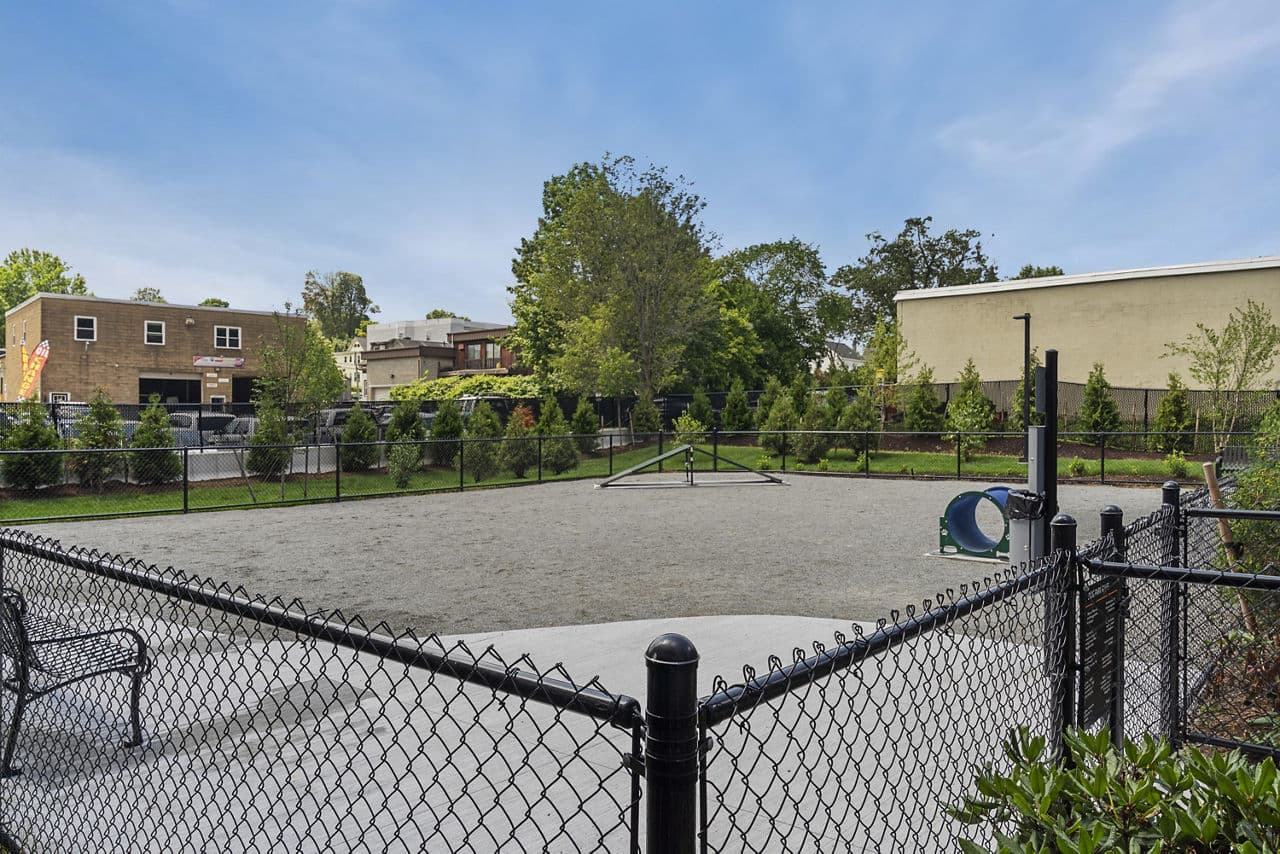 Alta French Hill 23 of 32
