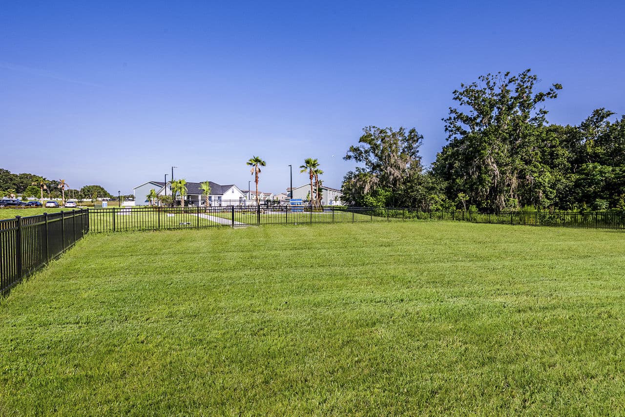 Skymor Wesley Chapel Wesley Chapel Fl 3 of 14