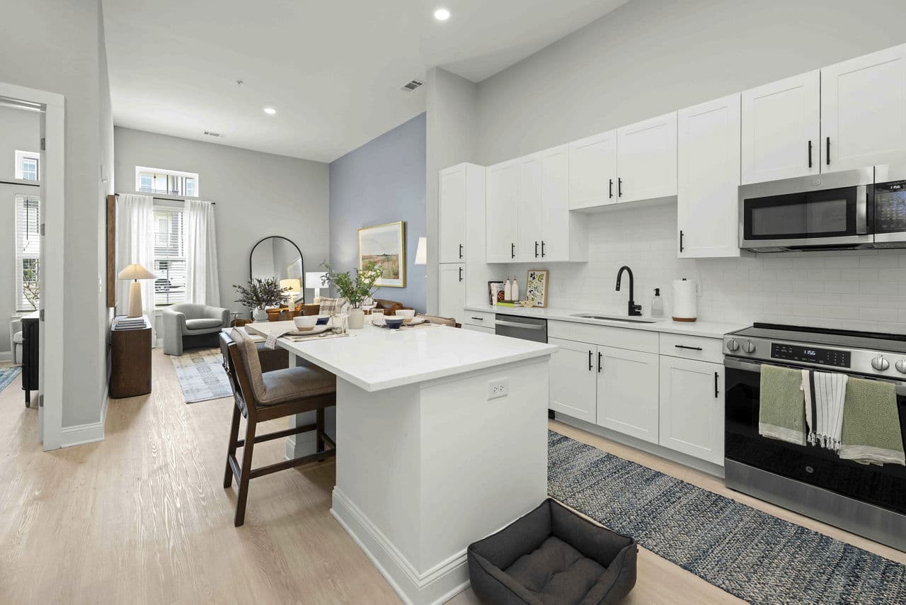 Solis Birkdale Apartments And Townhomes Huntersville Nc 2 of 27
