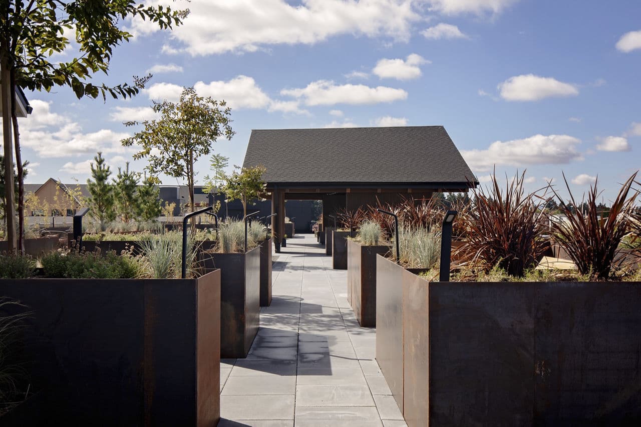 Astral And Revel By Alta Hillsboro Or 13 of 19