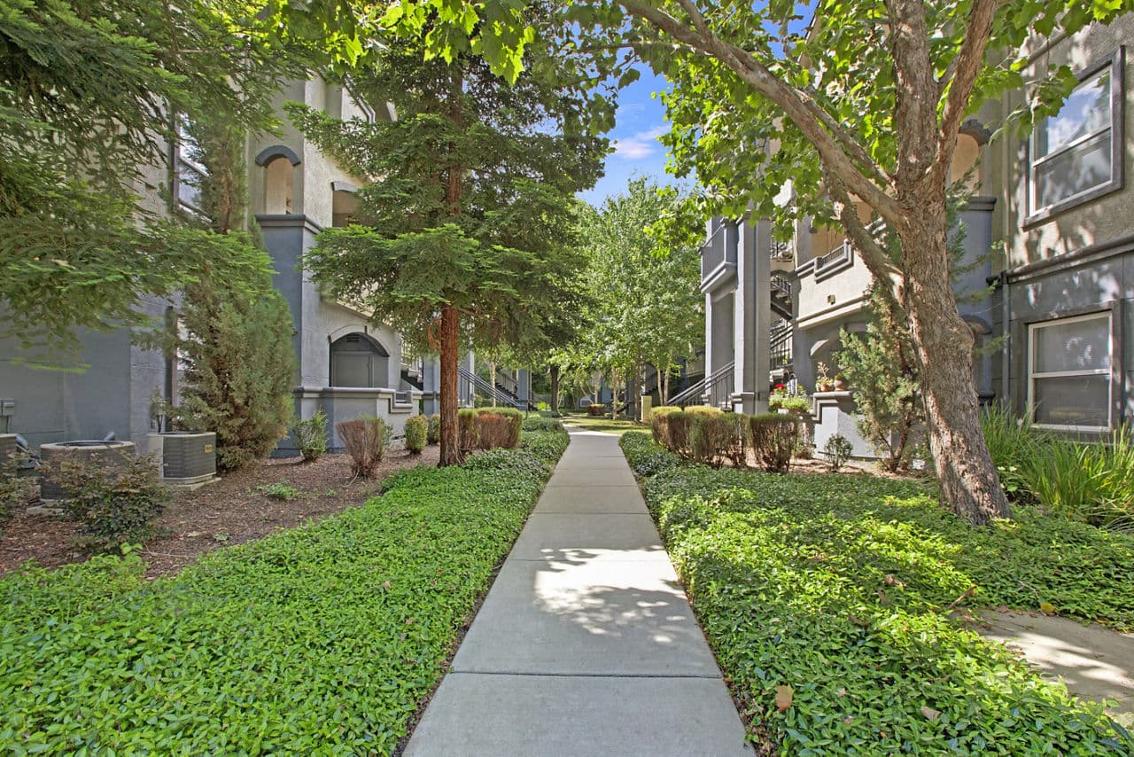 Broadleaf Apartments 3 of 30