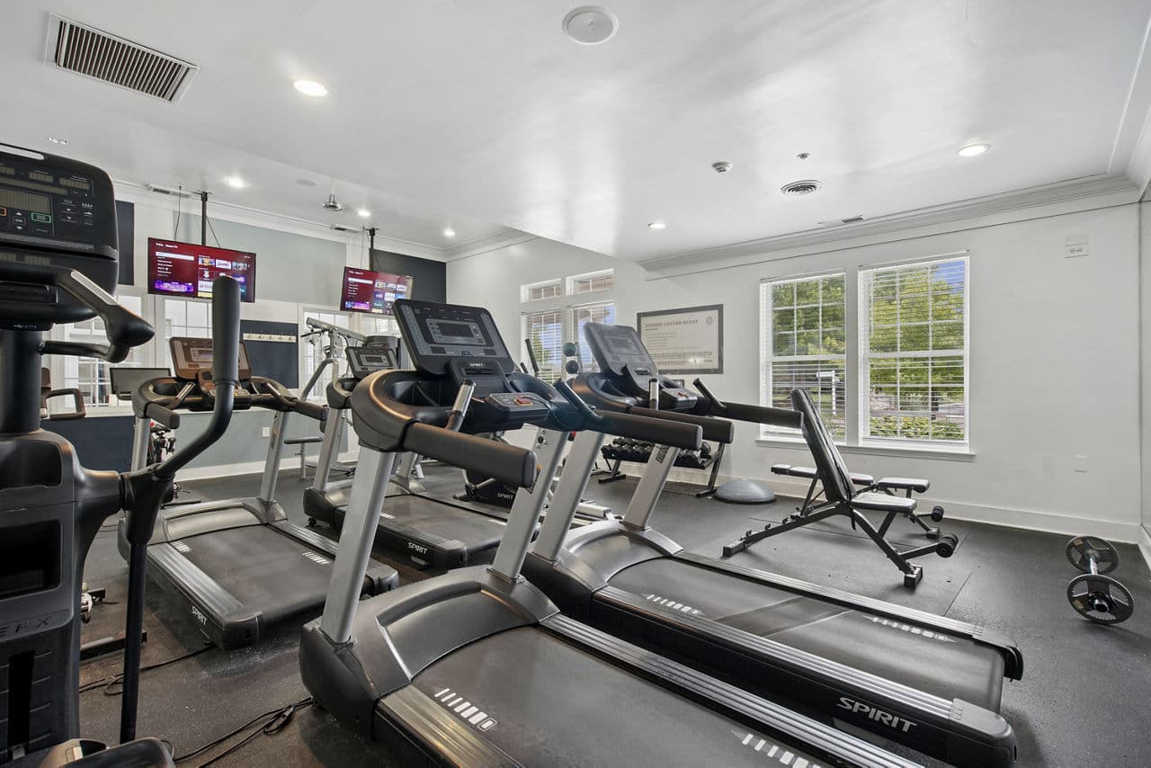 The Chapman 14 of 30