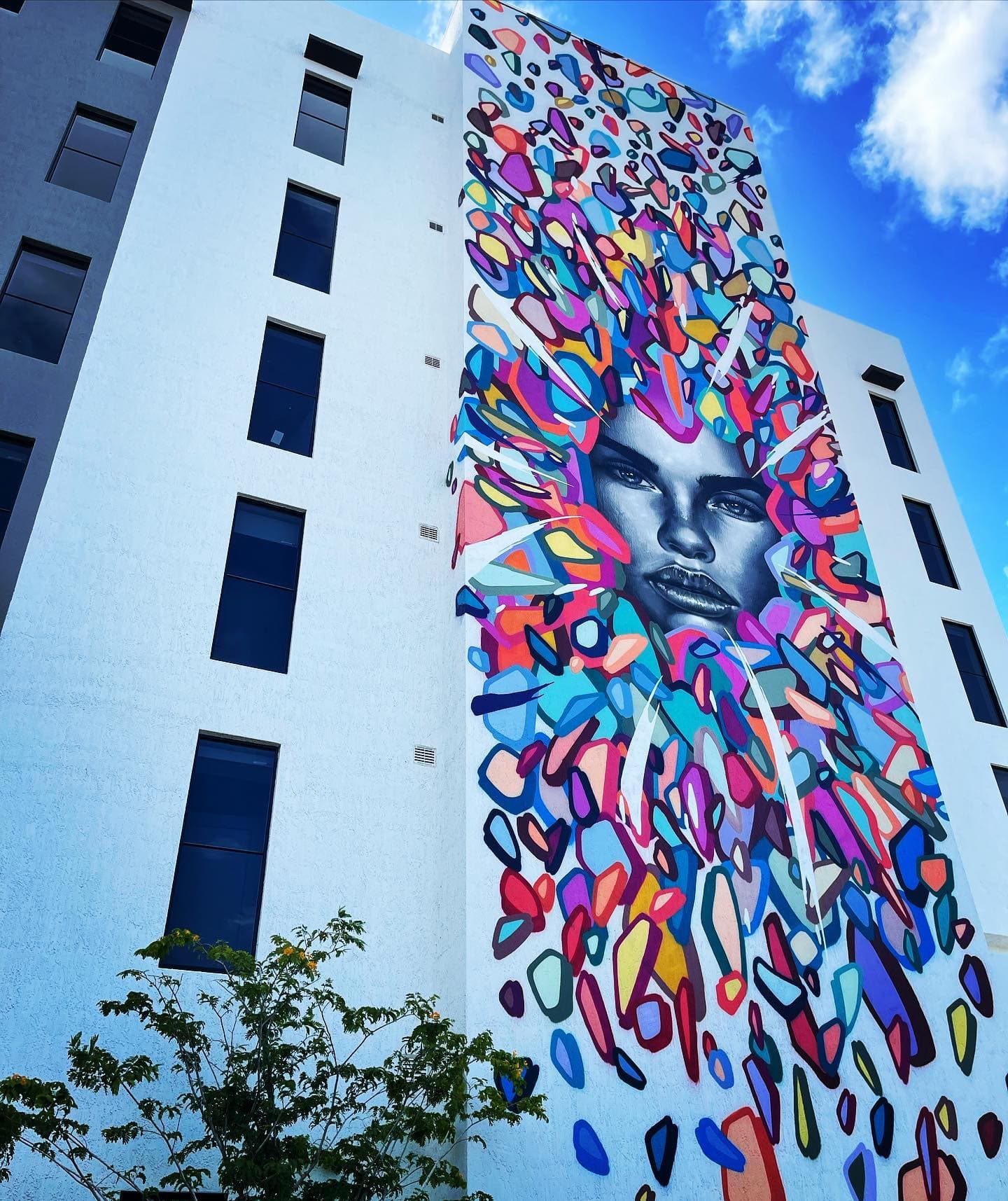 MiLine Miami 44 of 46