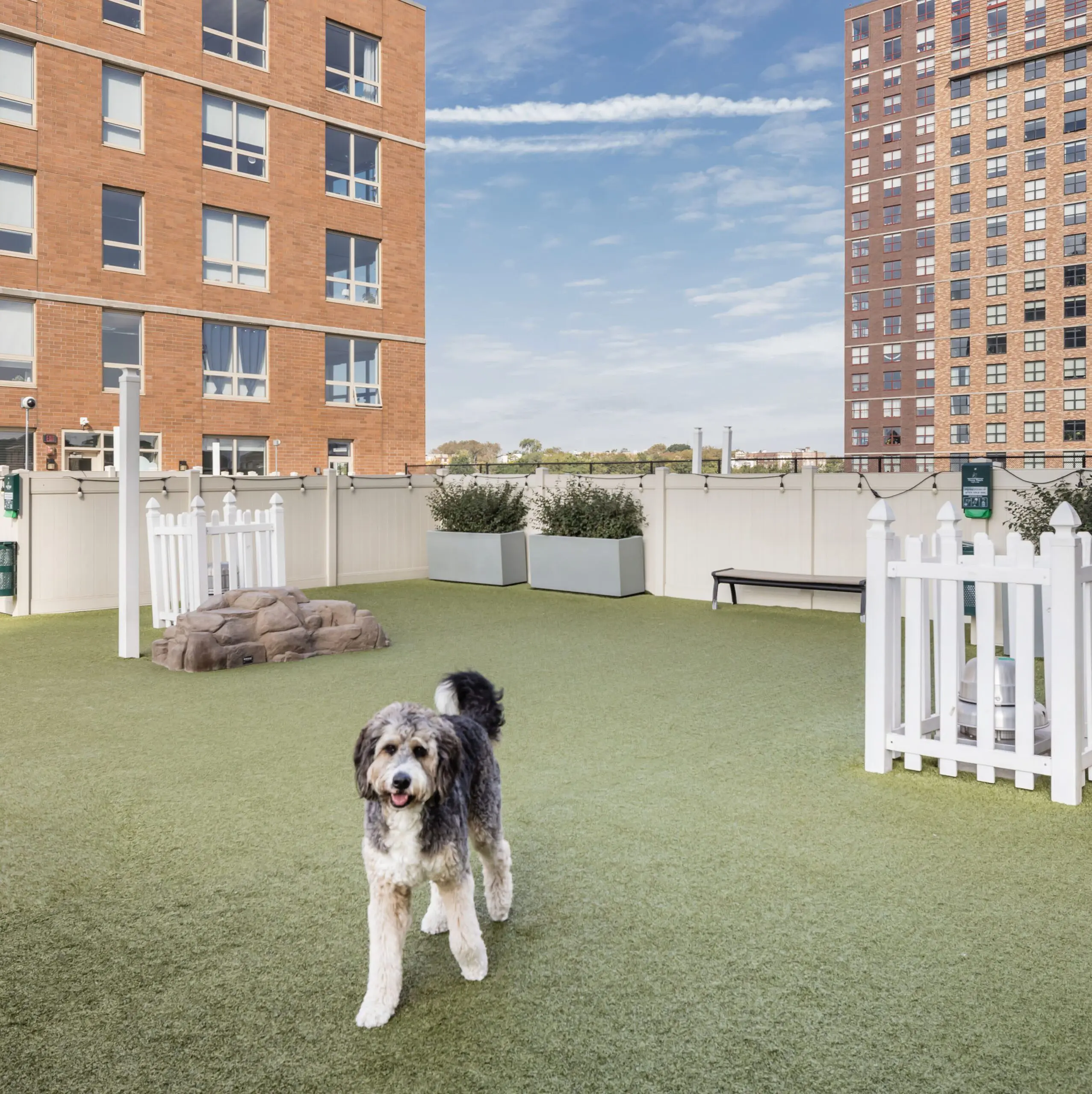 Soho Lofts 16 of 40