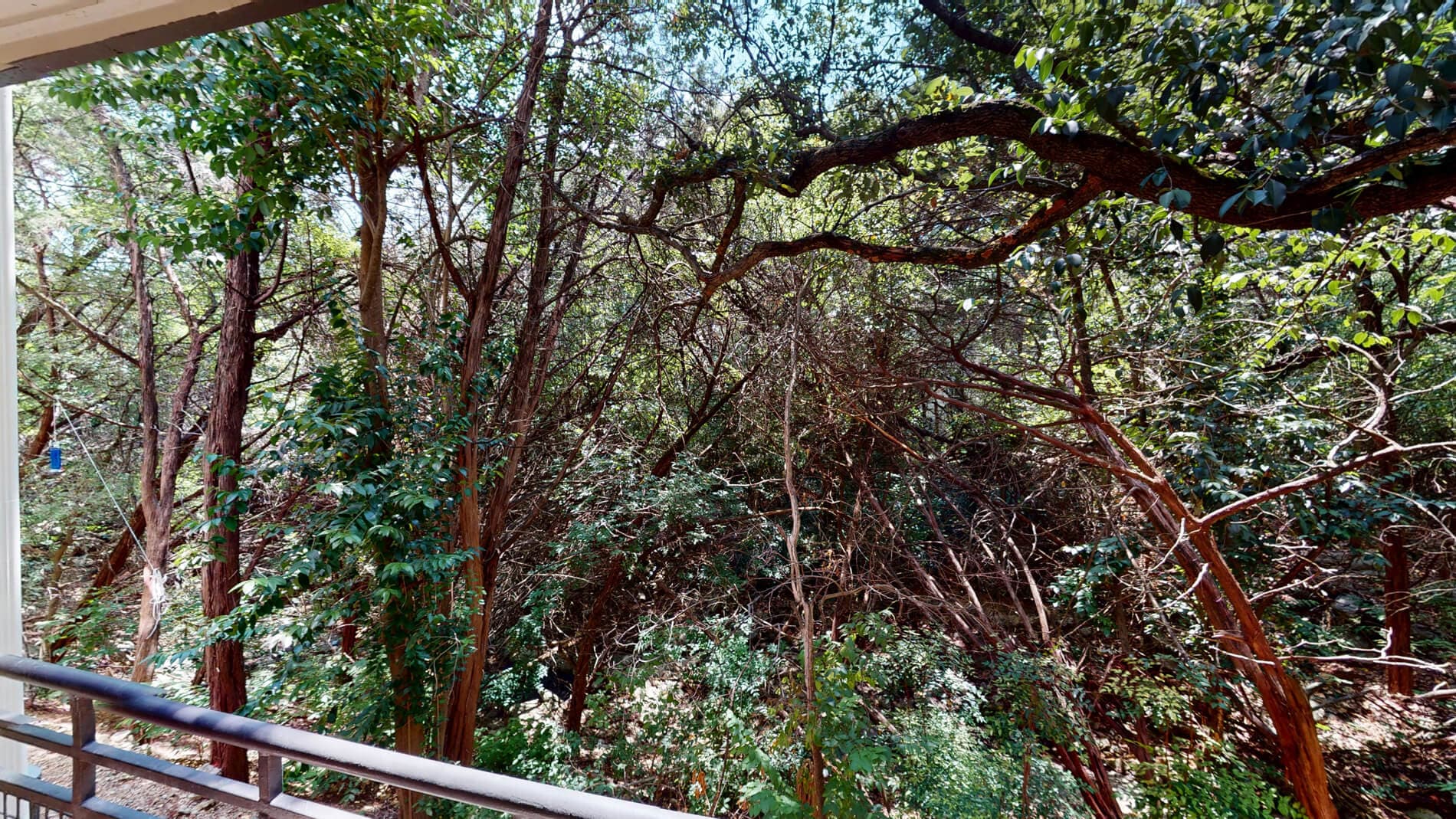 Barton Creek Landing 3 of 5