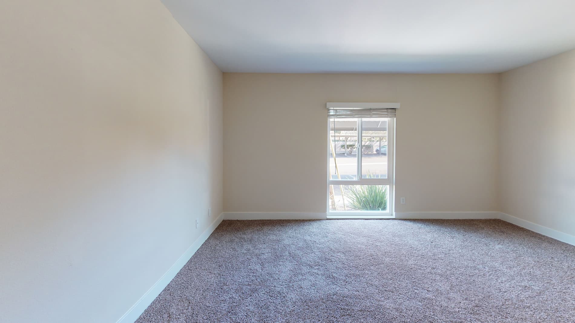 27 Seventy Five Mesa Verde 4 of 5