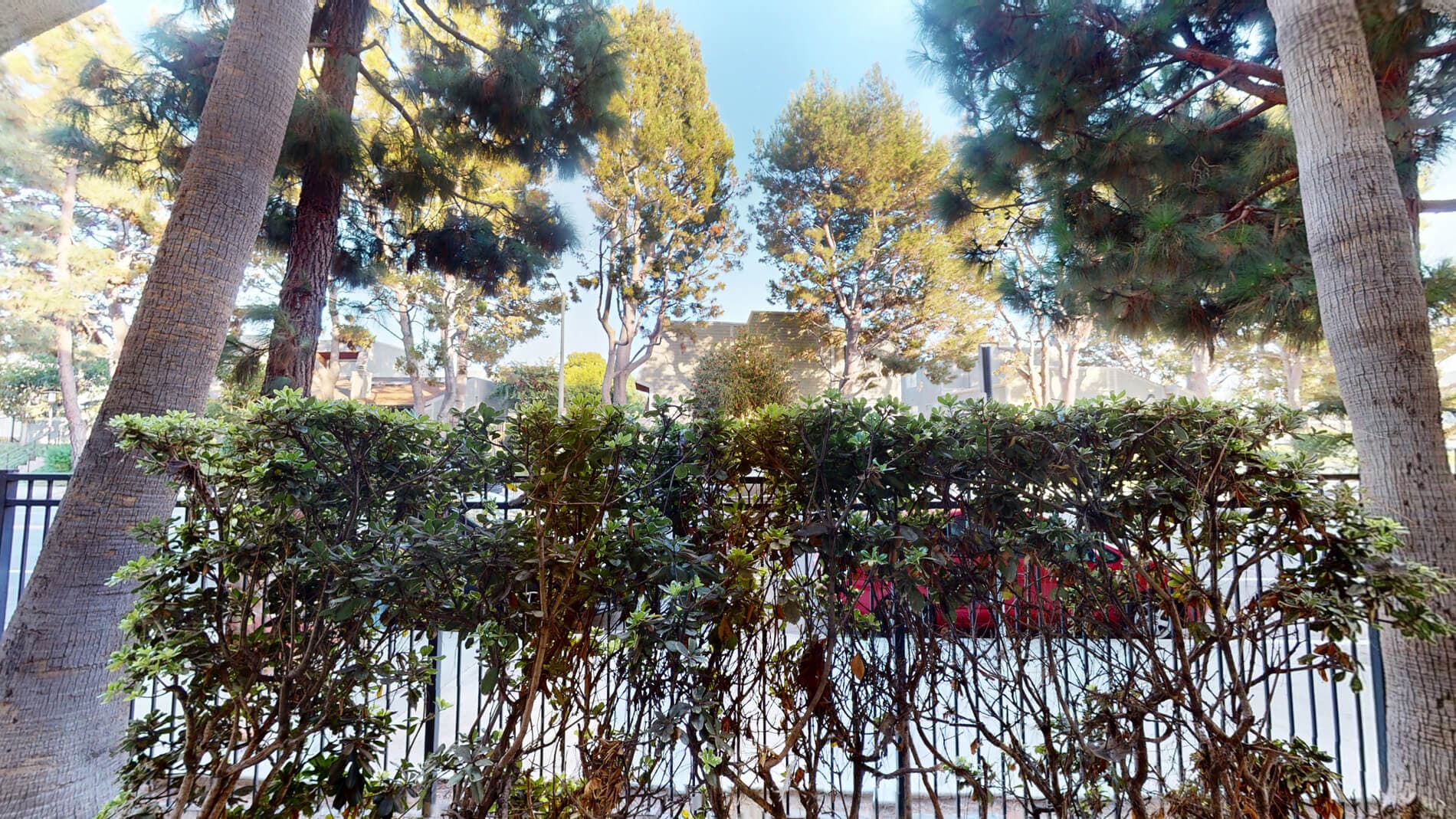 Tierra del Rey 3 of 5