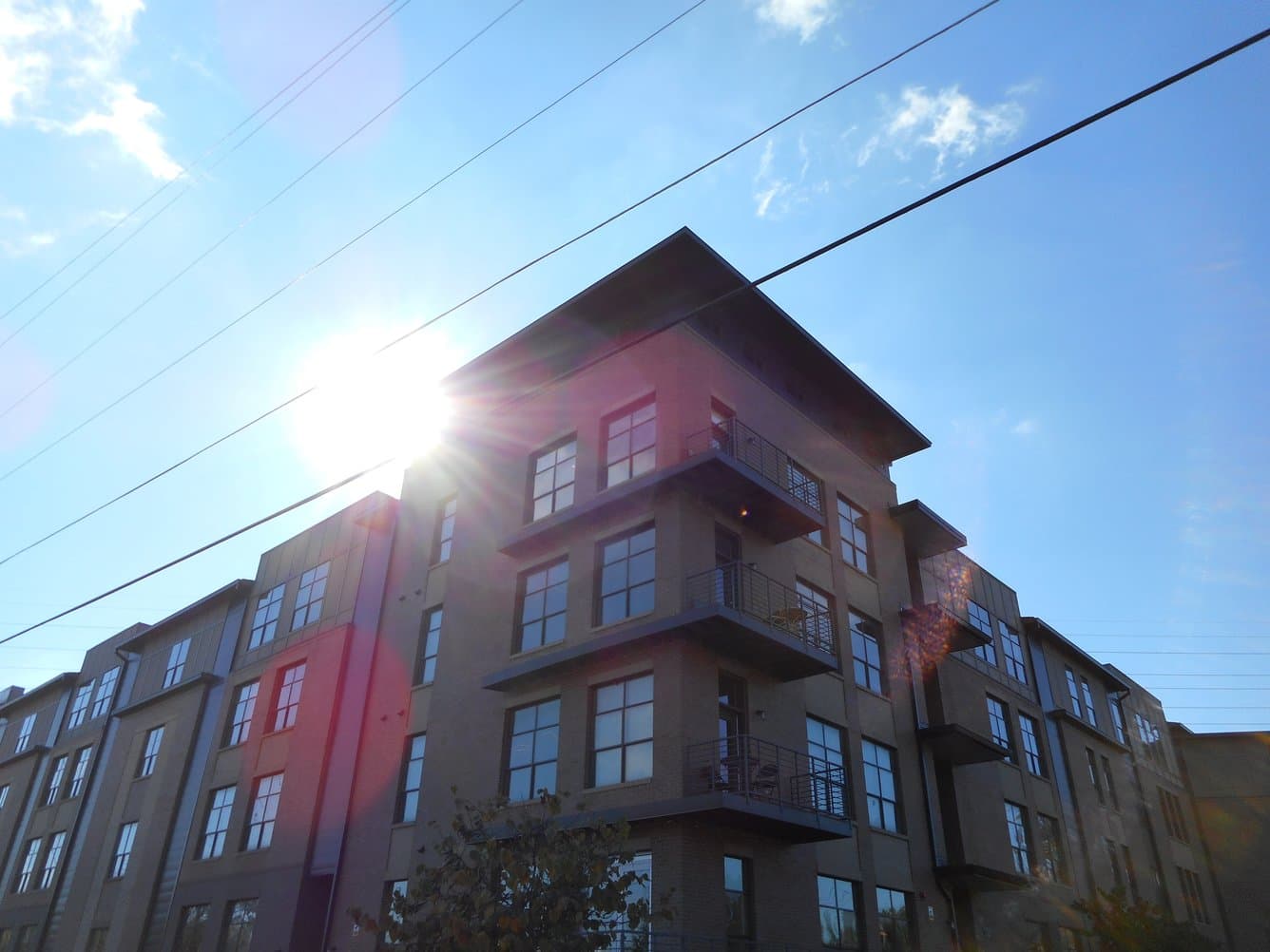 Gale Lofts 3 of 18