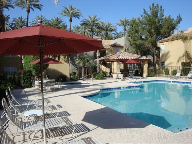 The Palms 7 of 17