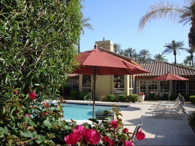 The Palms 4 of 17