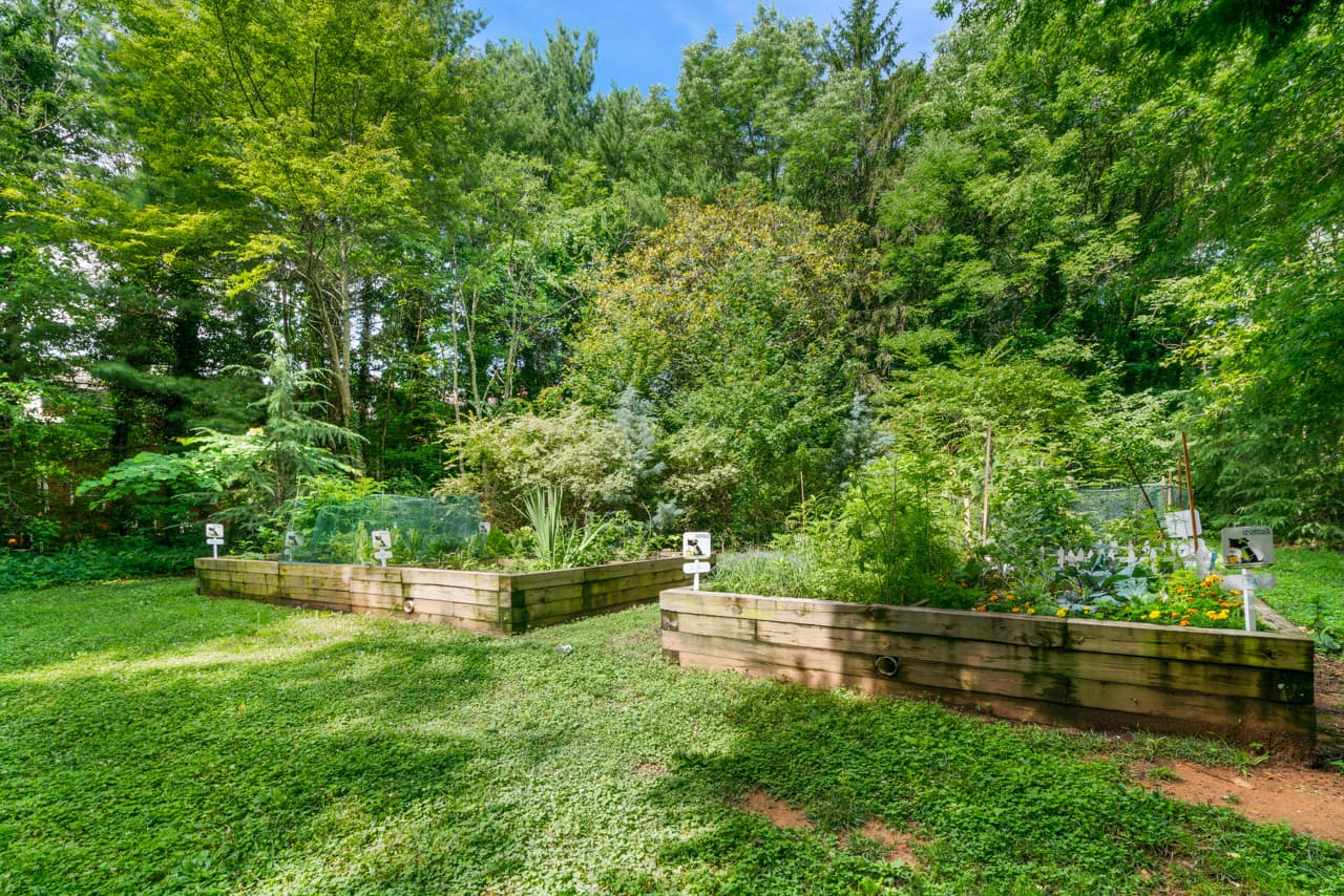 The Northside at Merrimon 8 of 23