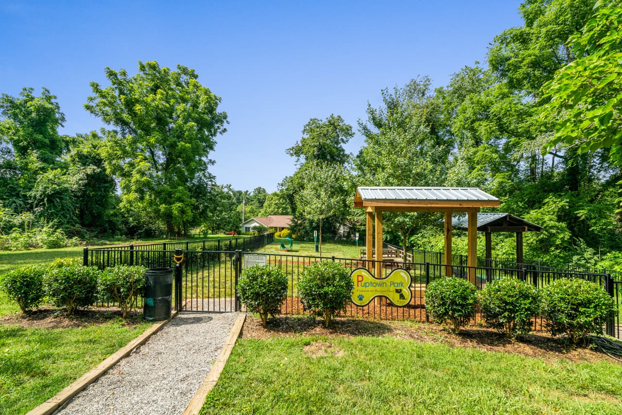 The Northside at Merrimon 9 of 23