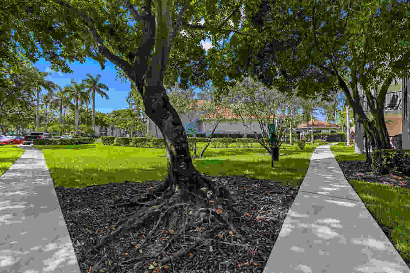 Coral Vista 20 of 68