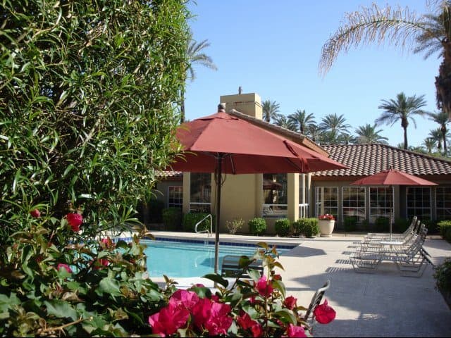 The Palms 1 of 8