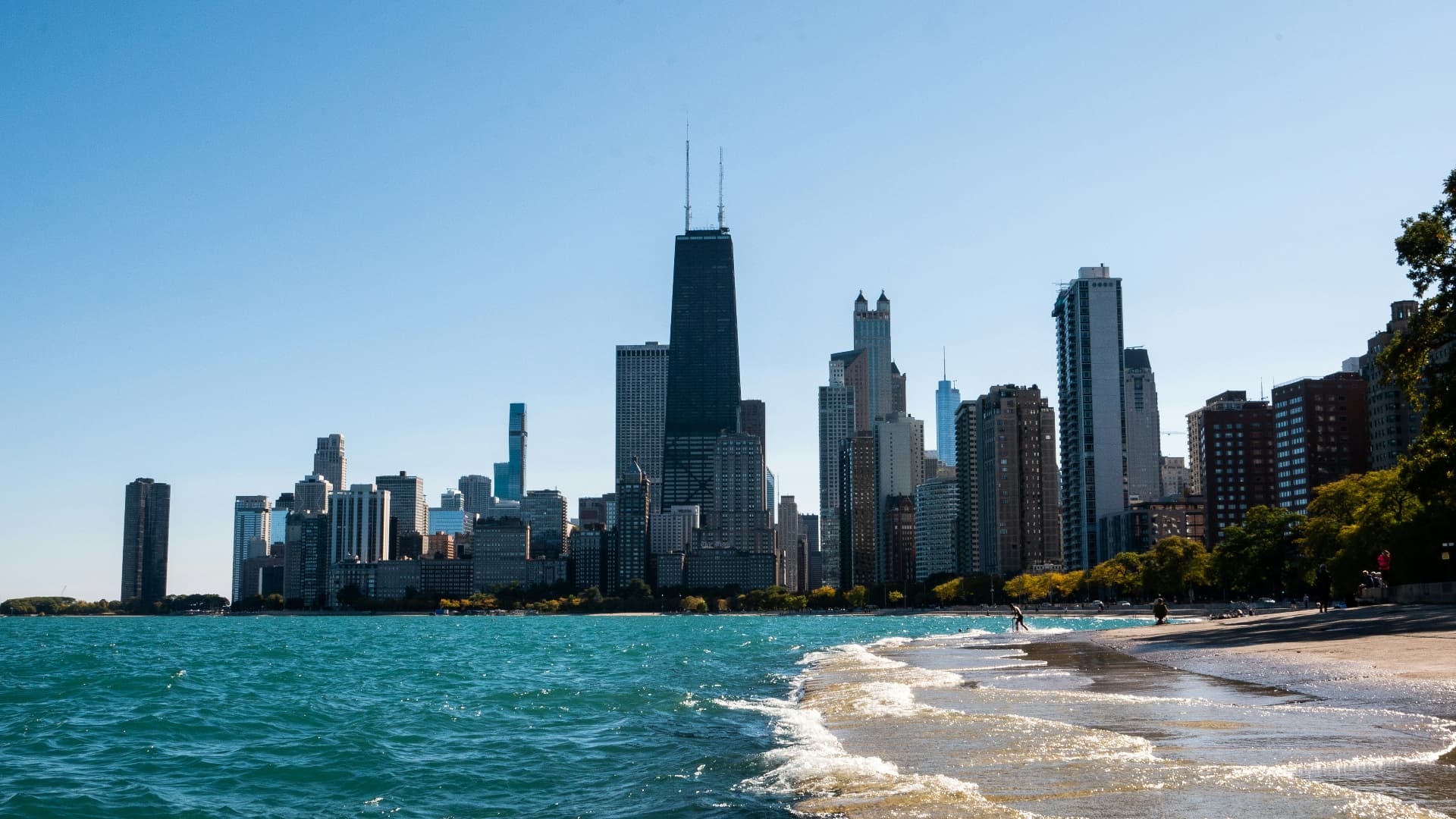 Where to Live in Chicago with a Dog