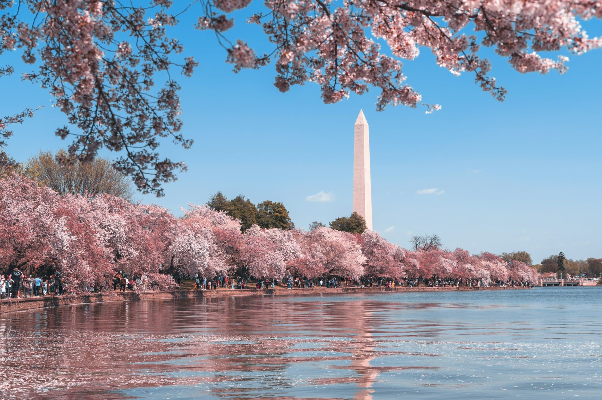 Best DC Suburbs for Empty Nesters Ready to Downsize