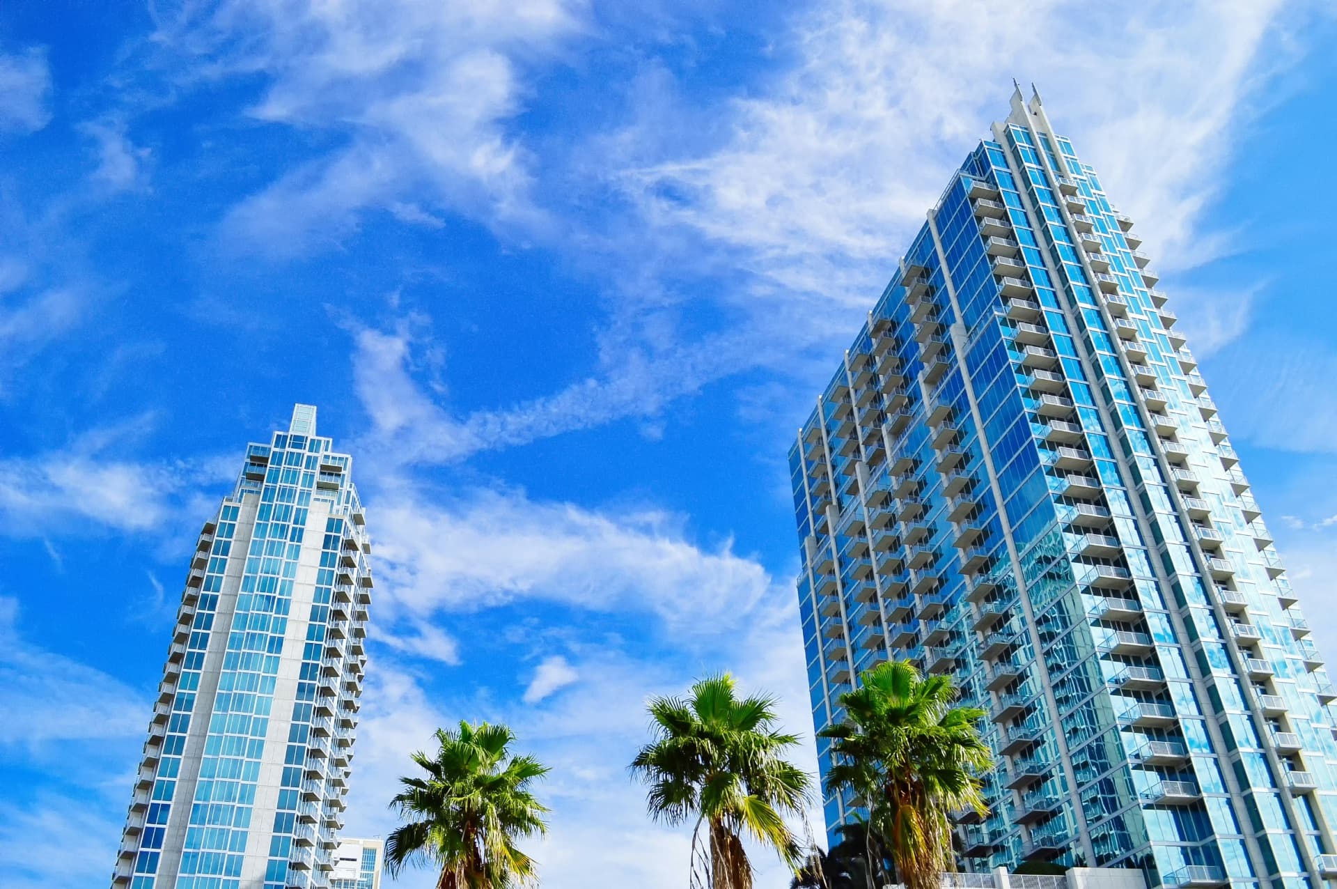 Tampa: A Renter's Orientation