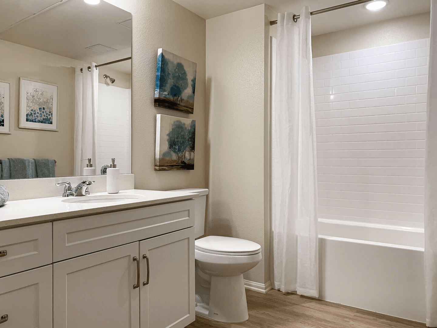 Huge 1bed, Open Floor Plan, W/D in-unit + parking: Chula Vista at 3rd St. 1 of 20