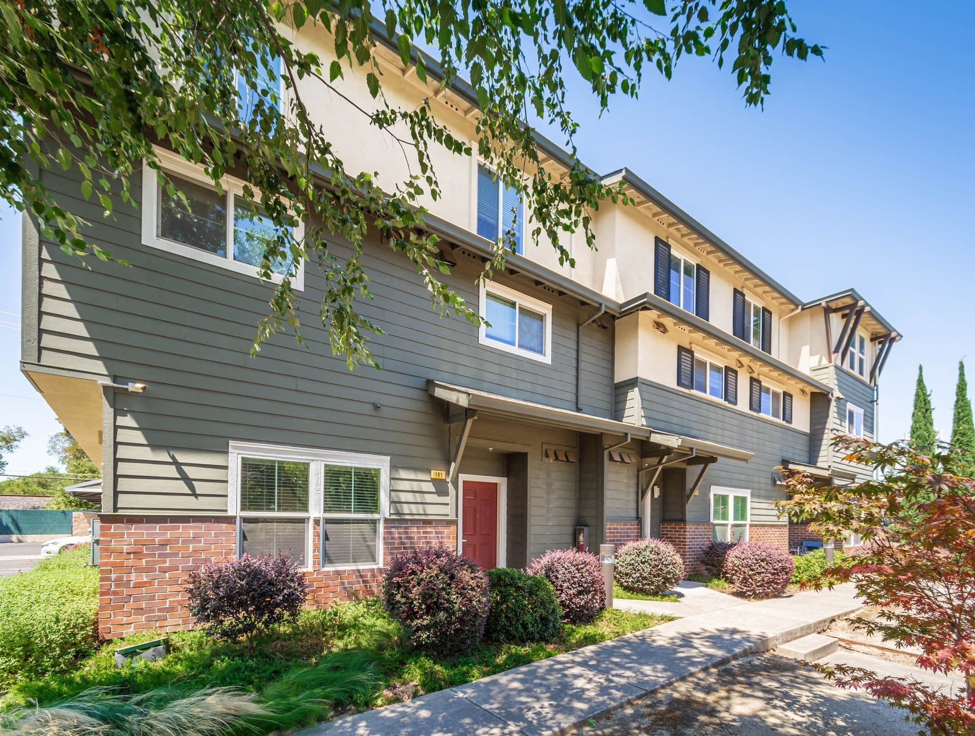Carlson Dr 1 of 19